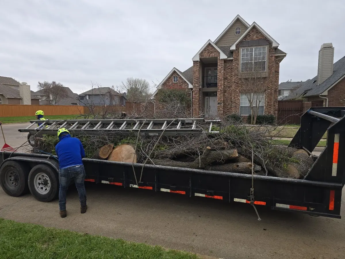 Expert Tree Pest Control with proper safety equipment in Fordyce